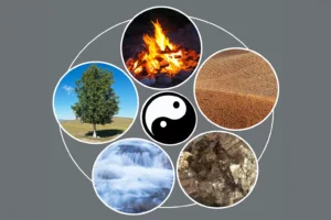 Formation e-learning : Les 5 elements de l energie - liberer les emotions bloquees